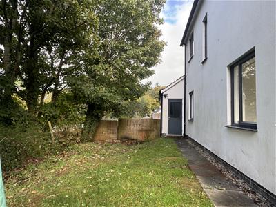 Picture 20